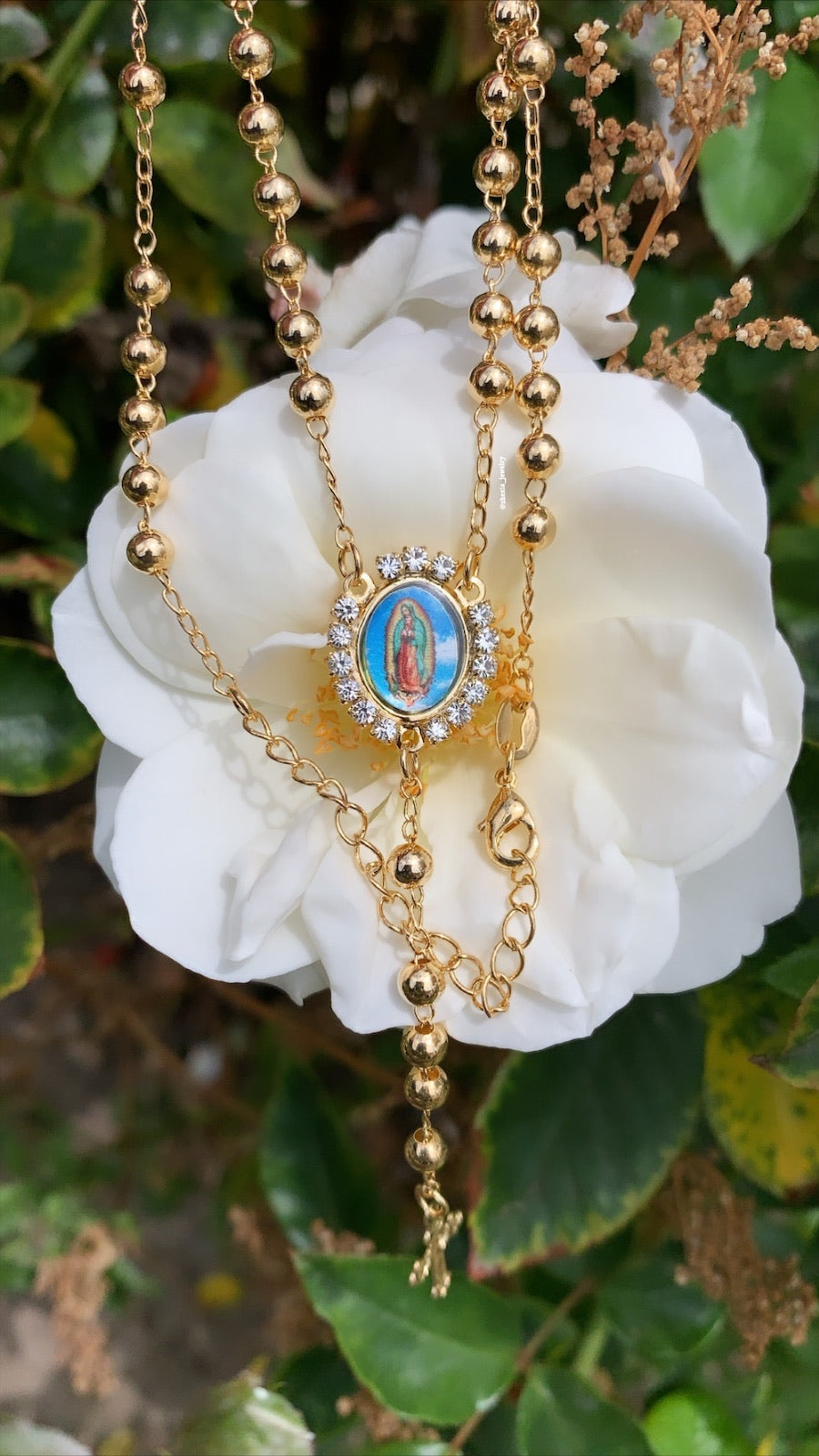 Guadalupe rosario