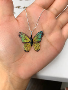 butterfly 5