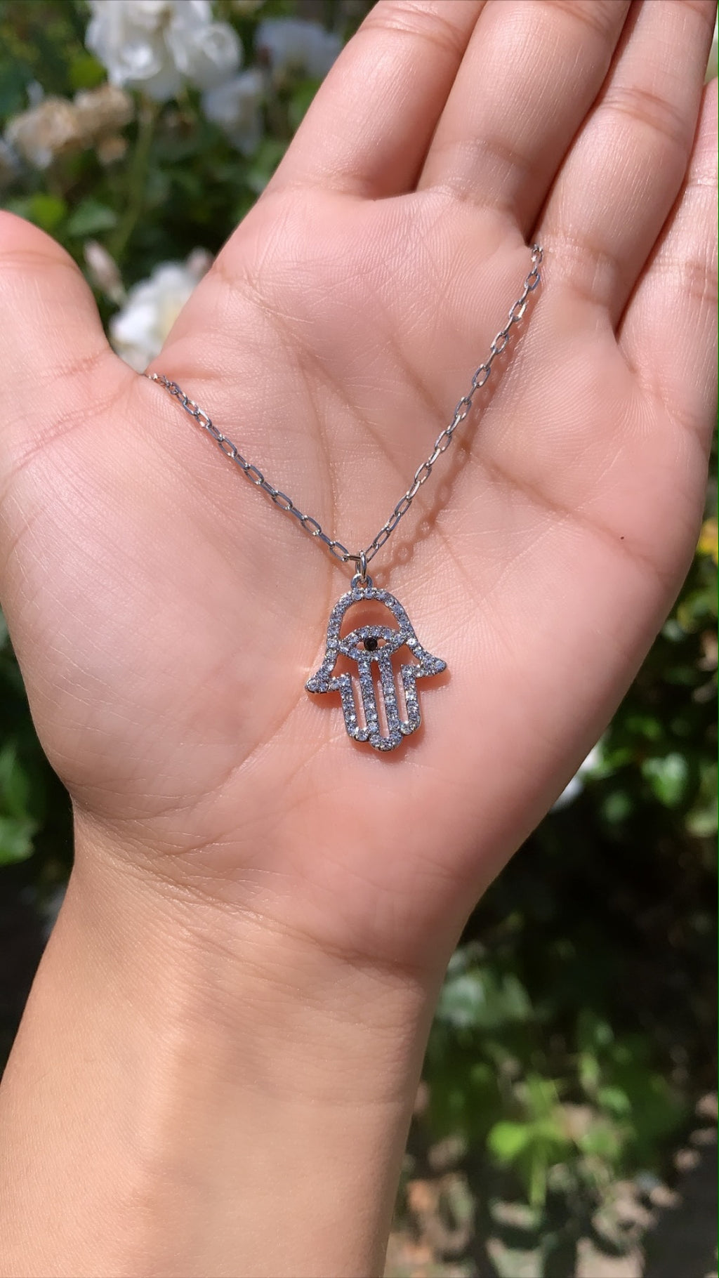 Hamsa 5